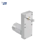 DC Gear Motor Factory DM 100SM555