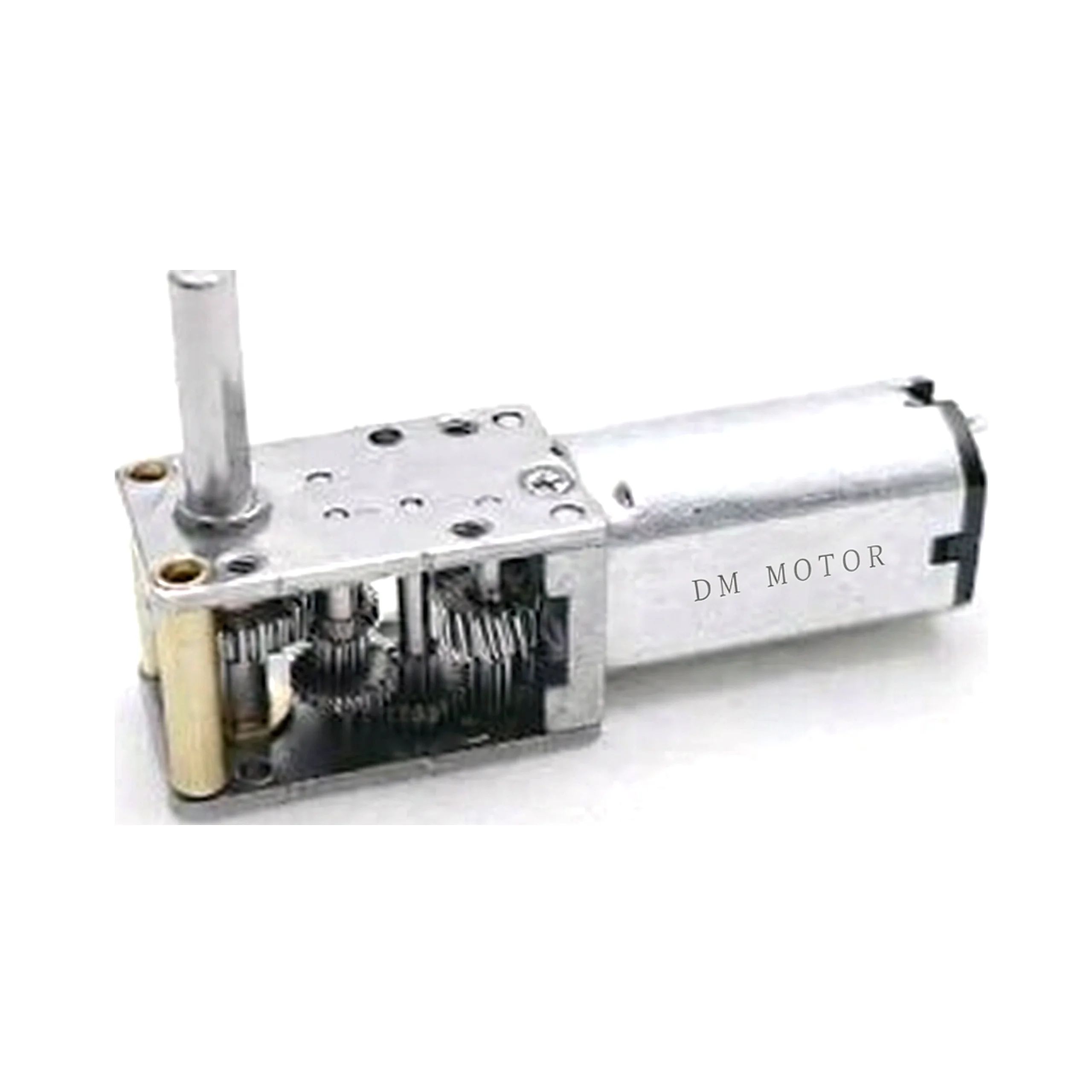 DC Worm Gear Motor DM 20SWN30
