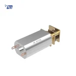 12mm Spur Gear Motor DM 13SM050