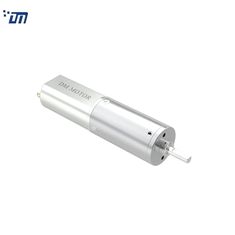 Planetary Gear Motor Factory DM 16PM050