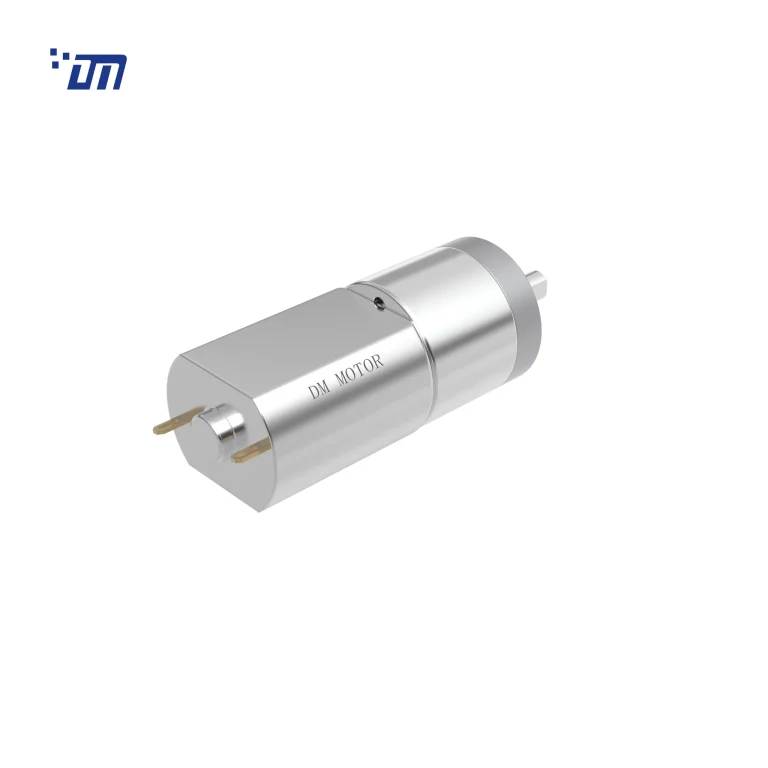 Spur Gear Motor DM 20SM130