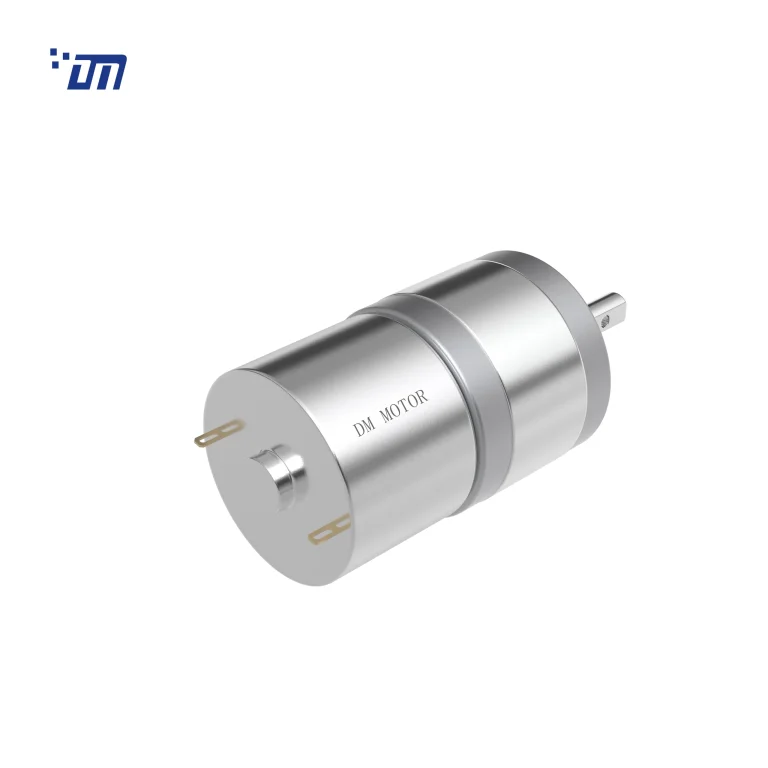 24V Spur Gear Motor DM 25SM310