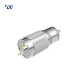 Brushed DC Motor With Gearbox DM 25SM385