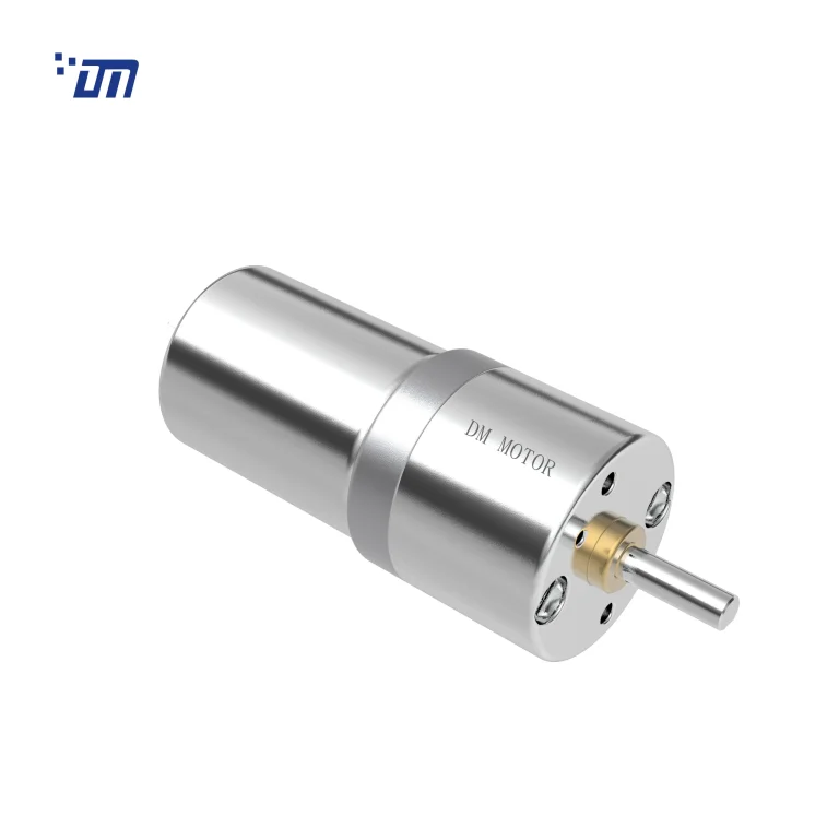 6V Spur Gear Motor DM 27SM370