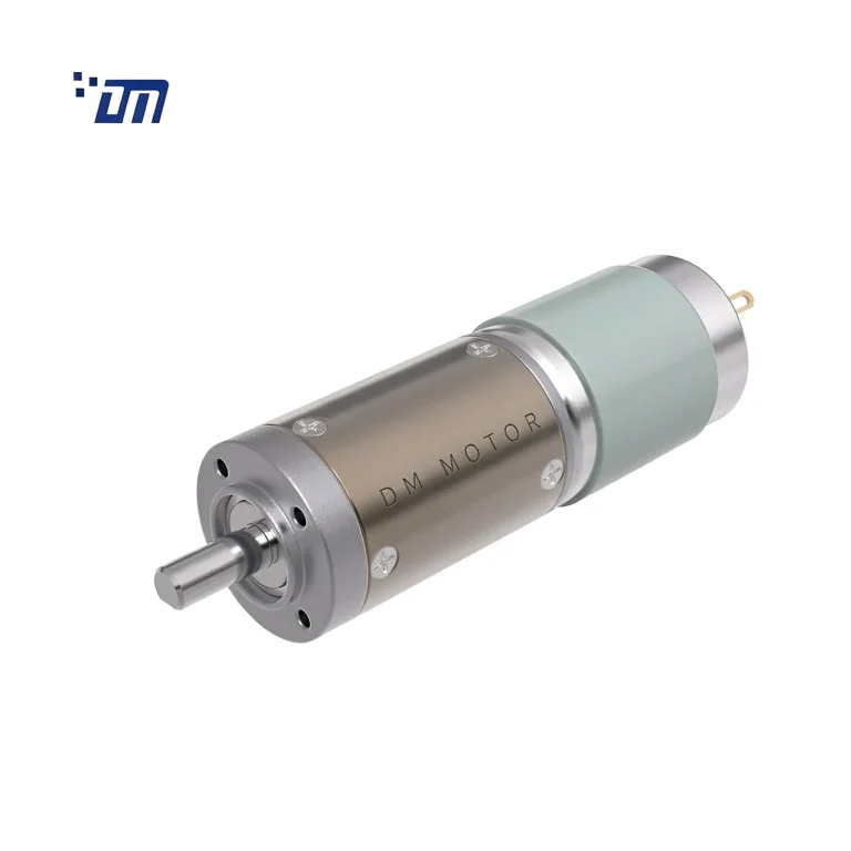 Planetary Gear Motor DM 28PM395