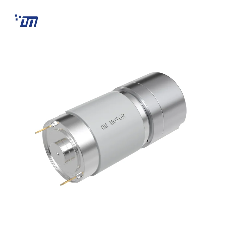 12V Spur Gear Motor DM 30SM385