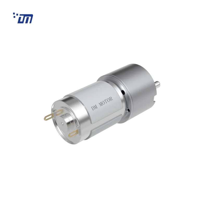 1rpm DC Gear Motor DM 33SM385