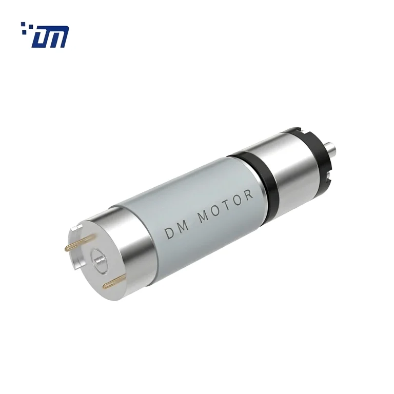 Planetary Gear DC Motor 12V DM 36PM597