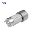 Small Gear Motor High Torque DM 37SM395