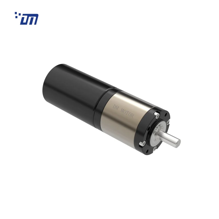 Brushless DC Gear Motor 12V DM 42PBL4266