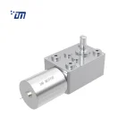 DC Worm Gear Motor DM 46WM370