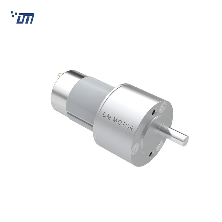 Low rpm DC Gear Motor DM 50SM545