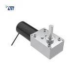 12 Volt Worm Gear Motor DM 58WM31ZY
