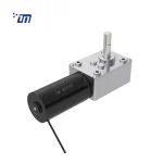 DC Worm Gear Motor Factory DM 58WM31ZY
