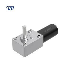 Worm Gear Motor With Encoder DM 58WM31ZY