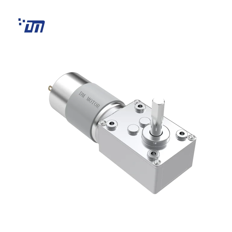 Worm Gear Motor 24V DM 58WM555