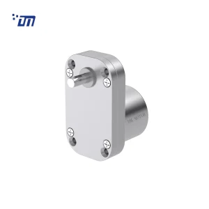 China DC Gear Motor Manufacturer DM 65SM3525
