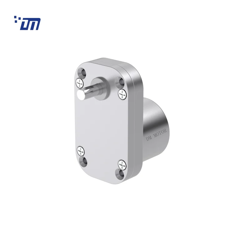 China DC Gear Motor Manufacturer DM 65SM3525