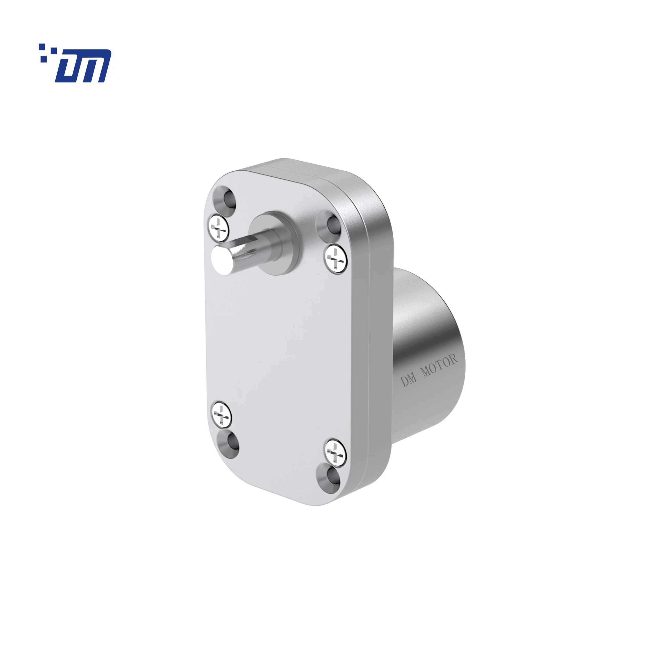 China DC Gear Motor Manufacturer DM 65SM3525