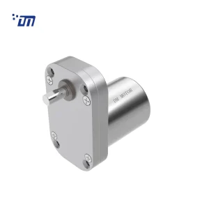 DC Brushed Gear Motor DM 65SM3540