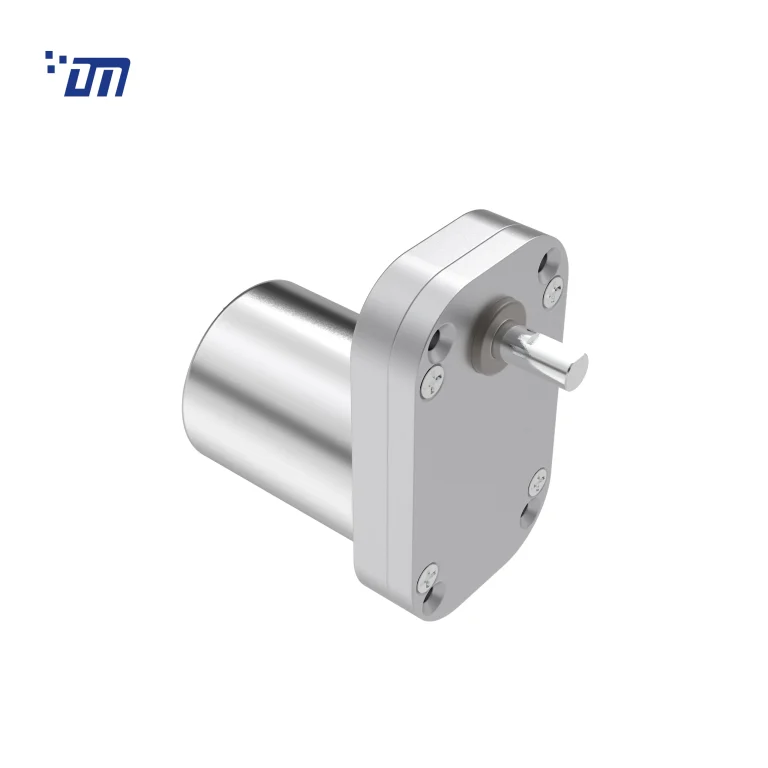 Square Geared DC Motor DM 65SM3540