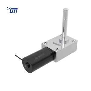 24V DC Worm Gear Motor DM 75WM36ZY