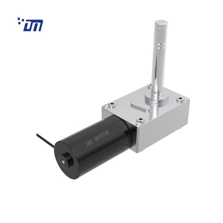 24V DC Worm Gear Motor DM 75WM36ZY
