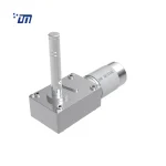 DC Worm Gear Motor Manufacturer DM 75WM555