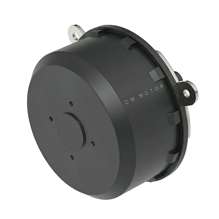 BLDC Hub Motor Factory DM BL126065