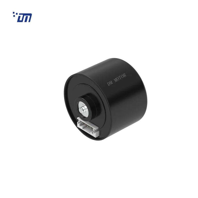 Brushless DC Gear Motor Manufacturer DM BL3626