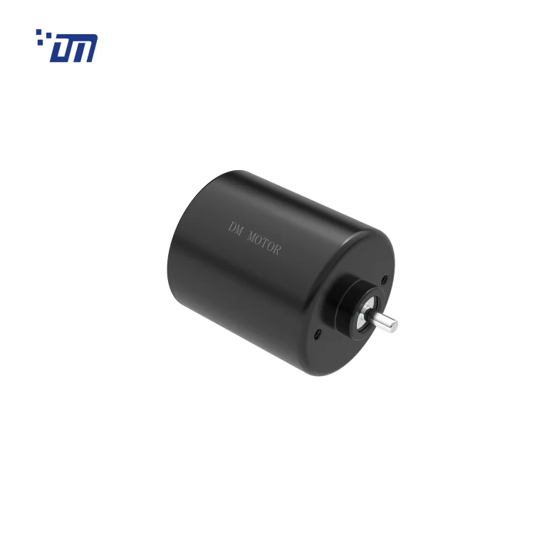 Brushless DC Gear Motor China DM BL3640