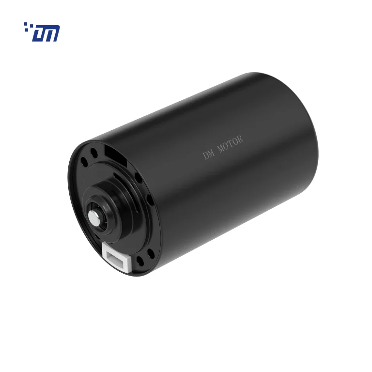 China BLDC Gear Motor DM BL4266