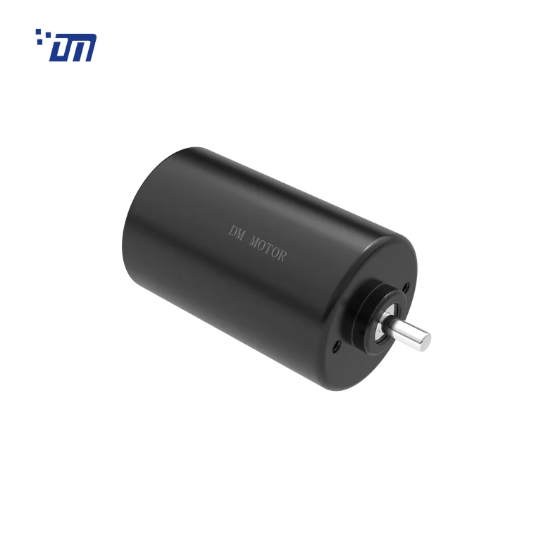 Gear Motor DC Brushless DM BL4266
