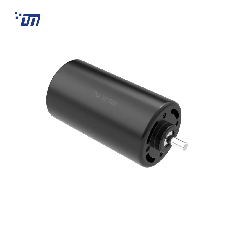 BLDC Gear Motor 12V DM BL4275