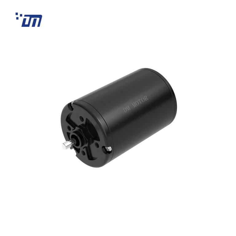 Brushless DC Gear Motor DM BL5067