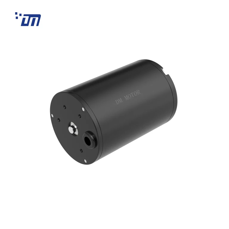 BLDC Gear Motor Manufacturer DM BL5067
