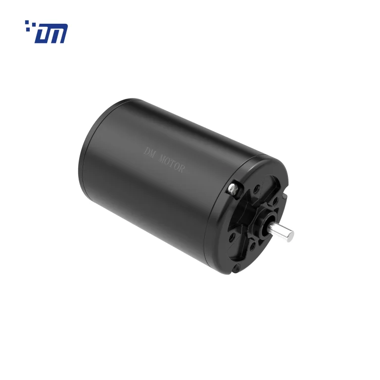 Brushless DC Gear Motor 12V DM BL5067