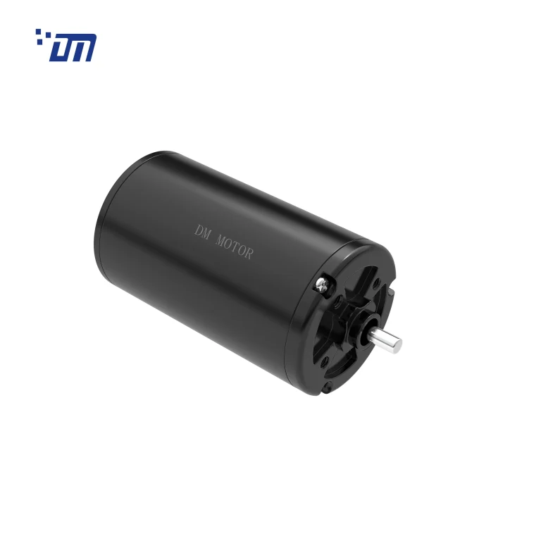 Brushless DC Gear Motor China DM BL5086