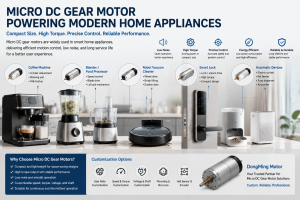 Household-appliance-motor