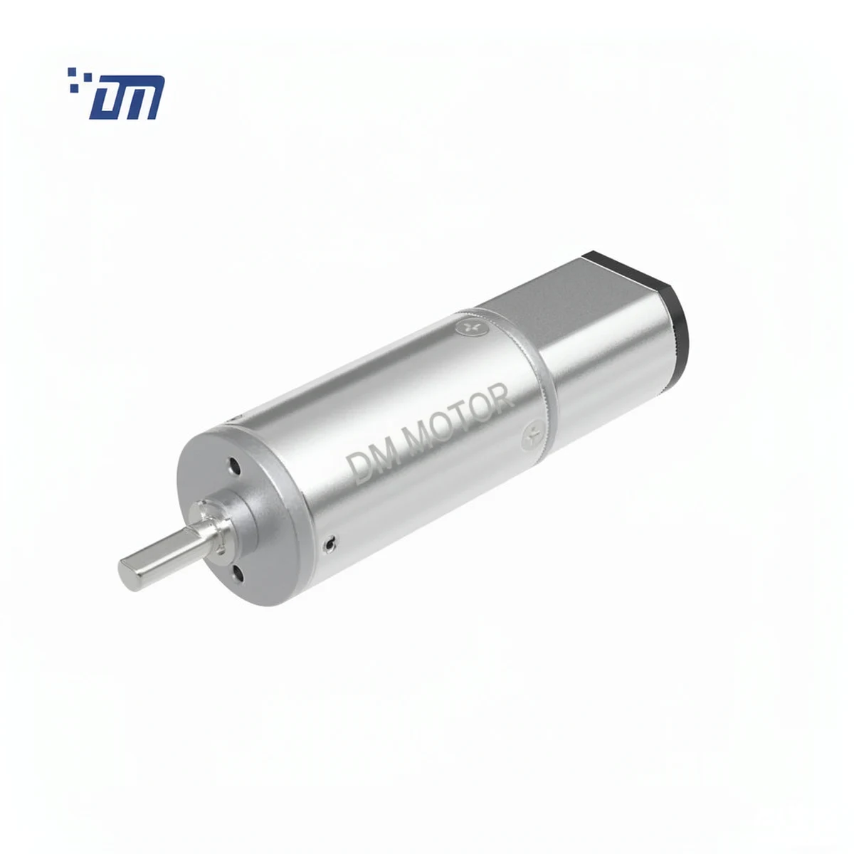 Dm 16pm030 dm motor print