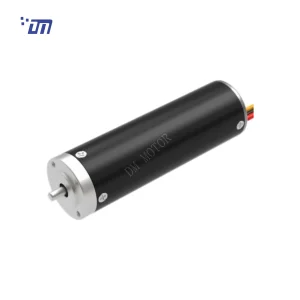 DM-BL2272 22mm brushless DC motor, 12V/24V, white background product photo