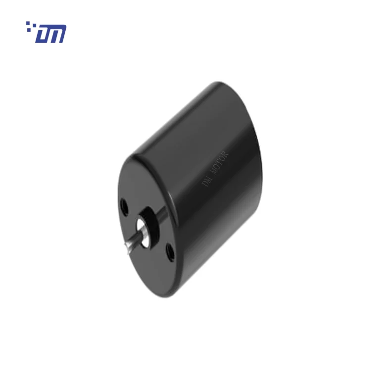DM-BL2430 24mm brushless DC motor, 12V/24V, white background product photo