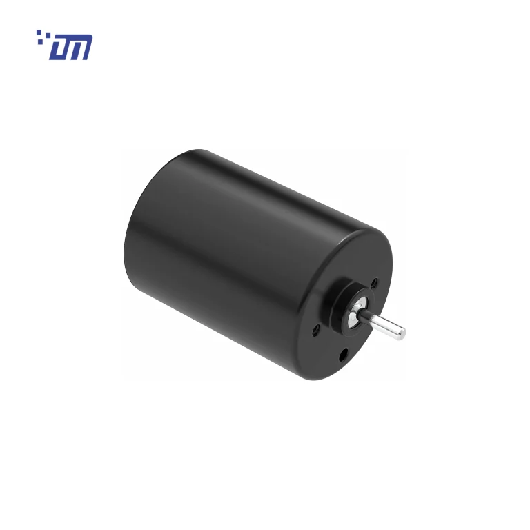 DM-BL2838 28mm brushless DC motor, 12V/24V, white background product photo