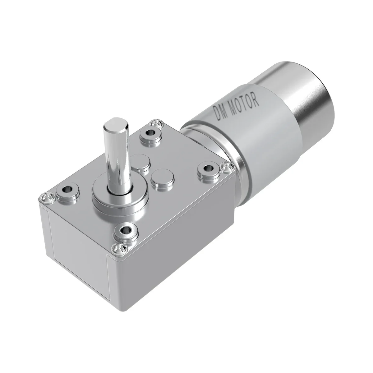 DM-58WM555 DC worm gear motor with DM MOTOR marking on the gearbox